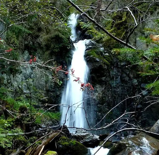 Manuela Appartement Arzl im Pitztal