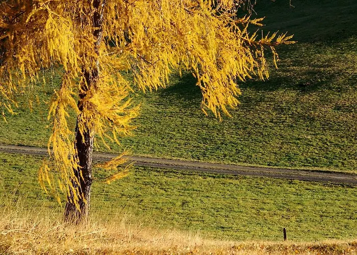 Manuela Appartement *